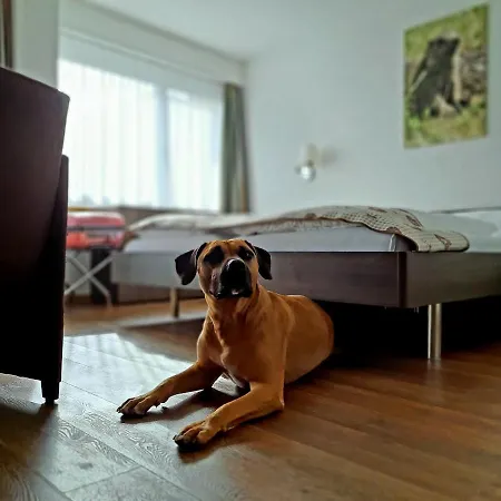 Crystal 인터라켄