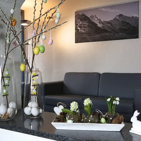 Crystal 3* إنترلاكن