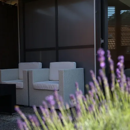 Crystal 3* 인터라켄