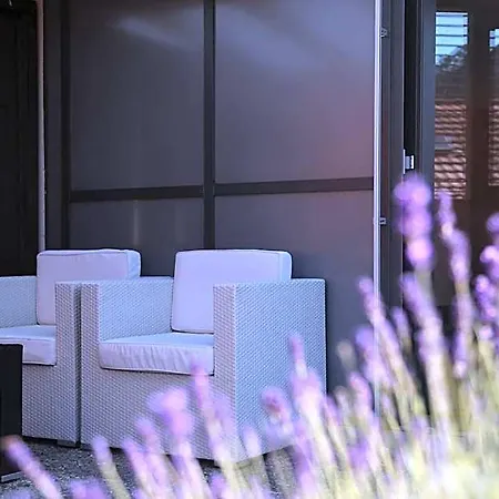 Hotel Crystal 3*