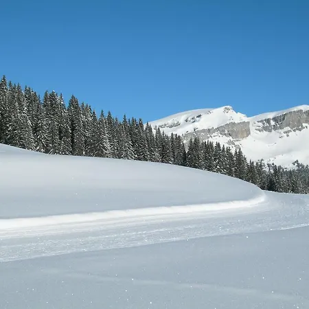 Crystal 인터라켄