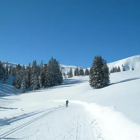 Crystal 인터라켄