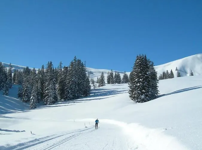 Crystal אינטרלאקן